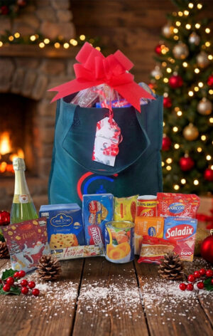 Bolso Ejecutivo - Regalos Empresariales - Navideños en Paraguay